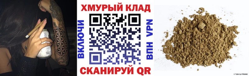 ГЕРОИН хмурый Светлогорск