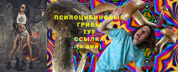 гидропоника Заводоуковск