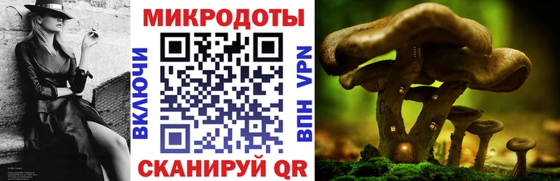 купить наркотик  мега ссылки  Галлюциногенные грибы Magic Shrooms  Светлогорск 